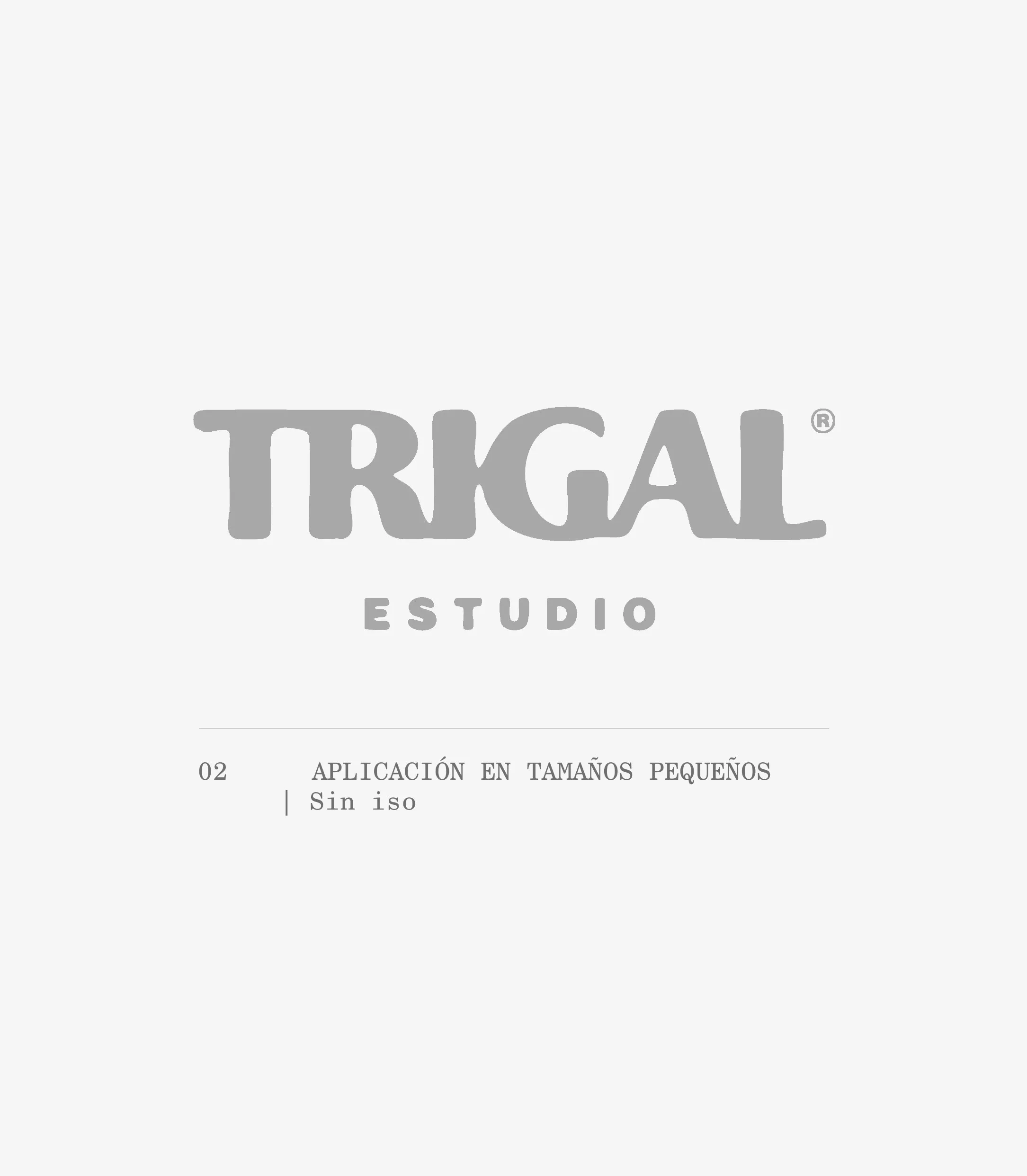 Trigal Estudio wordmark without the symbol, labeled for small sizes